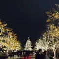 恵比寿ガーデンプレイスの写真_275779