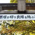 安井金比羅宮の写真_278377