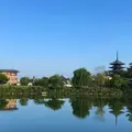 奈良公園の写真_279406