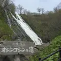 オシンコシンの滝の写真_280196