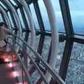 東京スカイツリーの写真_281169