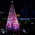 東京スカイツリーの写真_281736