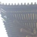 興福寺 東金堂の写真_283201