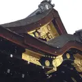 元離宮 二条城の写真_288078