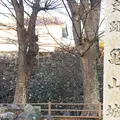 旧亀山城多門楼の写真_290729