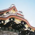 元離宮 二条城の写真_300894