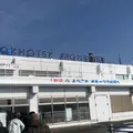 紋別空港（オホーツク紋別空港）の写真_304628