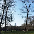 代々木公園の写真_306523