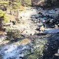 西の河原公園の写真_308299