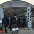 岡田港の写真_308339