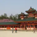 平安神宮の写真_308584