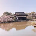 平安神宮の写真_309294