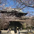 建長寺の写真_310240