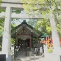 亀戸天祖神社の写真_313149