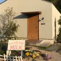 MILK ミルクの写真_313282