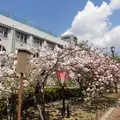 造幣博物館の写真_314643