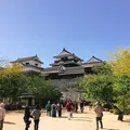 松山城の写真_317367