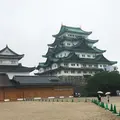 名古屋城の写真_318629