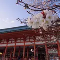平安神宮の写真_320586