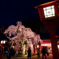 平野神社の写真_320951