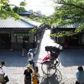 高台寺の写真_324409