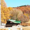 飛騨荘川 一色の森キャンプ場の写真_326586