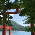 箱根神社 平和の鳥居の写真_328899