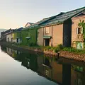 小樽運河の写真_332198