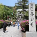 長谷寺の写真_333328