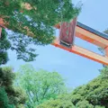 川越氷川神社の写真_341120