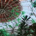 草津熱帯圏の写真_341932