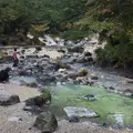 西の河原公園の写真_431674