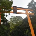 川越氷川神社の写真_434319