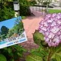 箱根強羅公園の写真_450246