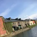 小樽運河の写真_470102