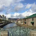 小樽運河の写真_471962