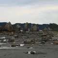 橋杭岩の写真_512146