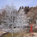 箱根ガラスの森美術館の写真_522672