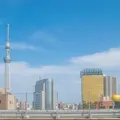 東京スカイツリーの写真_550651