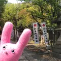 刺田比古神社の写真_553241