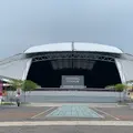 The National Stadiumの写真_553777
