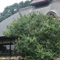 みずほの村市場 蕎舎の写真_605994