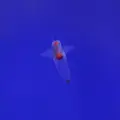オホーツク流氷館の写真_623843