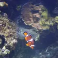 Under Water World（アンダーウォーターワールド）の写真_629305