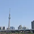 東京スカイツリーの写真_636371