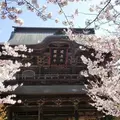建長寺の写真_658021