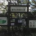 横浜自然観察の森の写真_680667