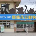 姫路市立動物園の写真_694231