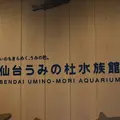 仙台うみの杜水族館の写真_706734