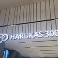 ハルカス300 展望台の写真_713136